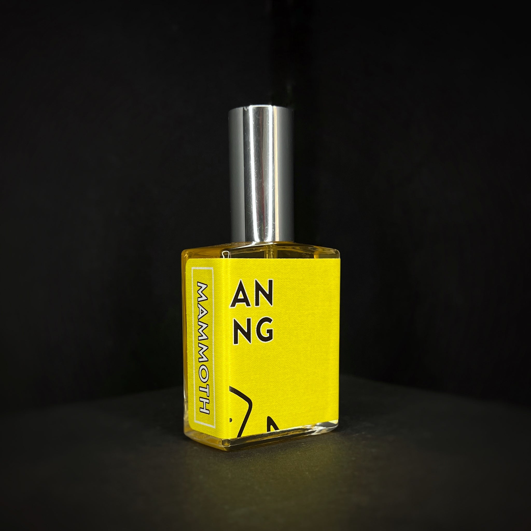 Sonder perfume (2025)