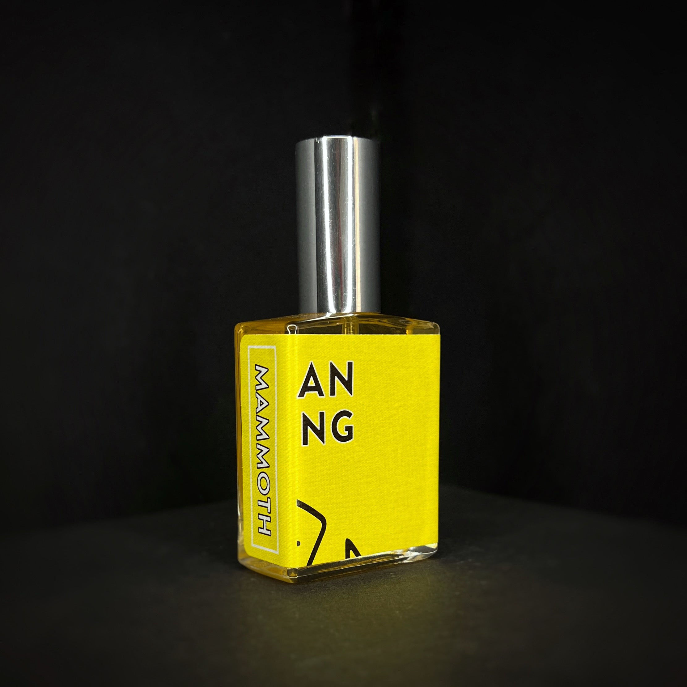 Sonder perfume (2025) – House of Mammoth
